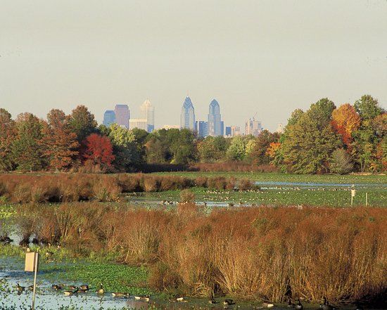 John Heinz National Wildlife Refuge at Tinicum